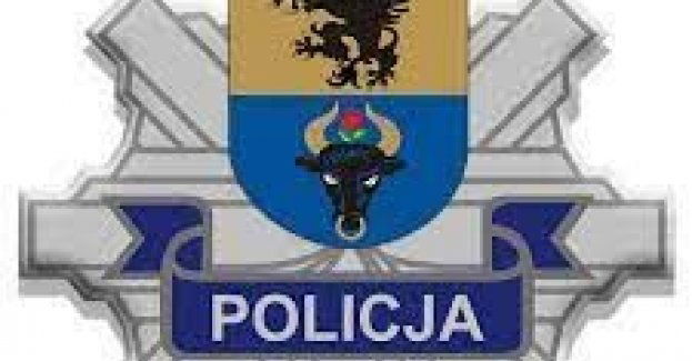 Skakał po radiowozie, teraz grozi mu do 5 lat więzienia