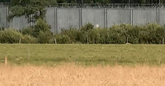 Policjanci dzierżoniowskiego Wydziału Kryminalnego zatrzymali osobę, która w sposób nielegalny przekroczyła granicę polsko-białoruską.