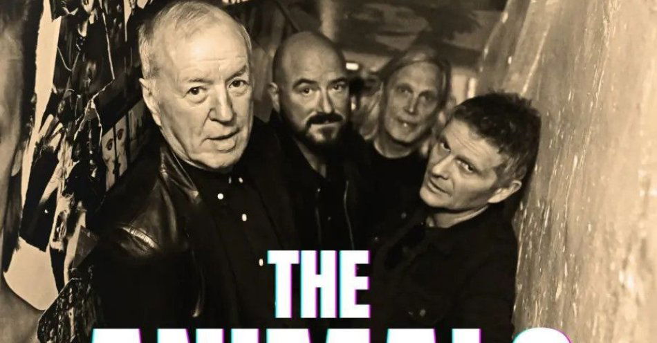 zdjęcie: THE ANIMALS feat. John Steel / kupbilecik24.pl / THE ANIMALS feat. John Steel