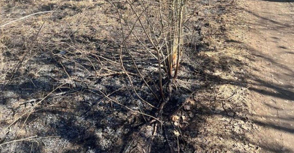 zdjęcie: Wypalanie traw grozi karą i zagraża życiu / fot. KPP w Świdwinie IMG-20260323-WA0007