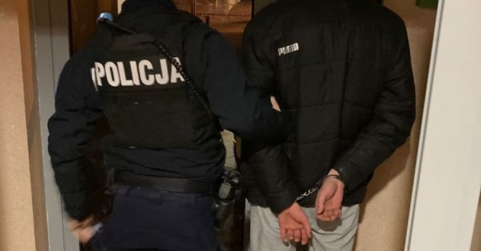 zdjęcie: Miał przy sobie amfetaminę twierdząc , że znalazł ją w lesie. / fot. KMP w Gdyni
