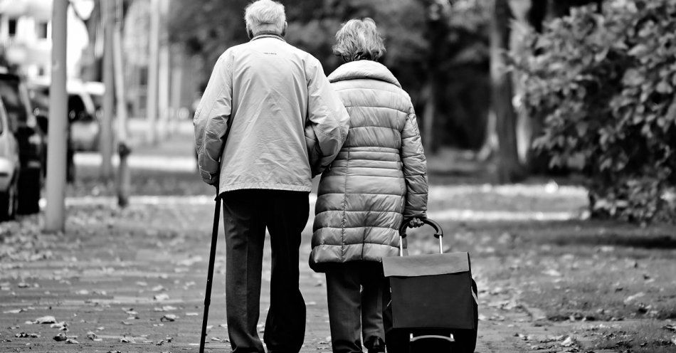 zdjęcie: Oszukani metodą na wnuczka małżonkowie stracili blisko 90 tys. zł / pixabay/3723548