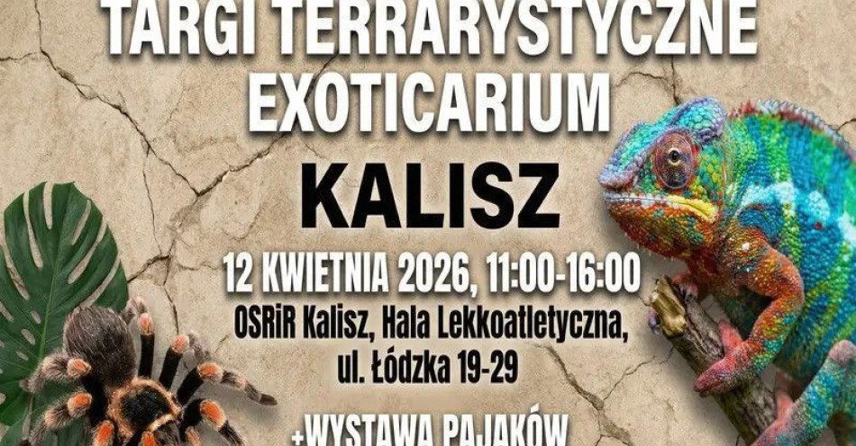 zdjęcie: Exoticarium - Targi Terrarystyczne w Kaliszu! + Wystawa Pająków / kupbilecik24.pl / Exoticarium - Targi Terrarystyczne w Kaliszu! + Wystawa Pająków