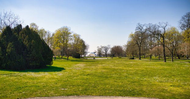 Rozpoczął się proces apelacyjny kieleckiej radnej ws. "działki dla szwagra"