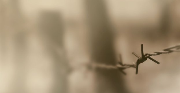 Muzeum Auschwitz we współpracy ze startupem chcą powstrzymać mowę nienawiści w sieci