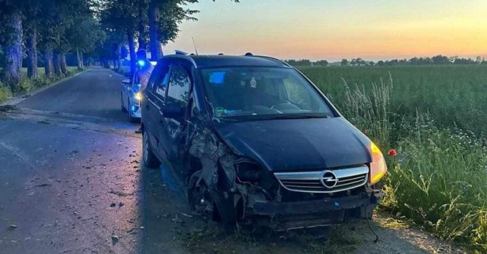 zdjęcie: Uderzył w drzewo i oddalił się z miejsca zdarzenia / fot. KPP w Kętrzynie