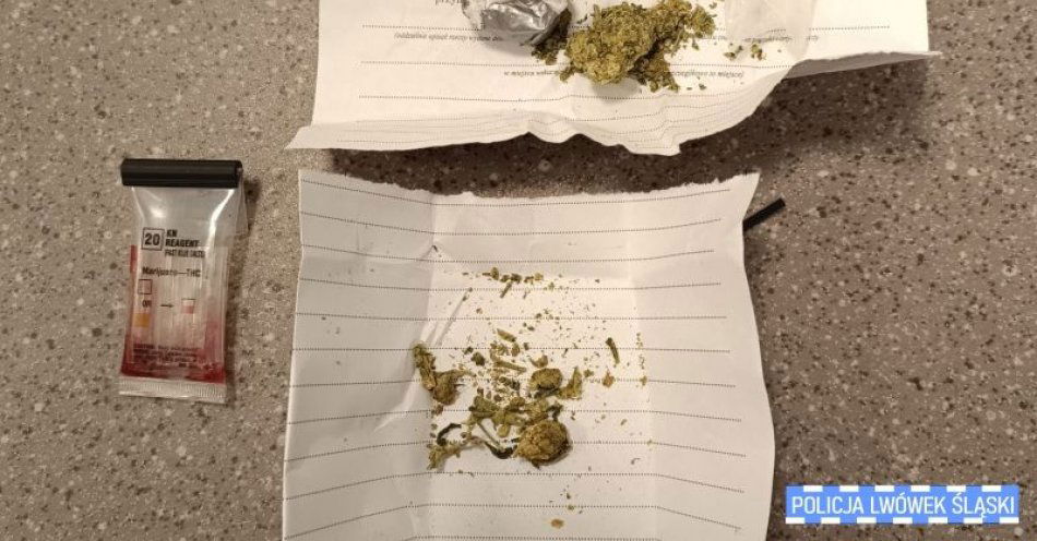 zdjęcie: Kierował samochodem pod wpływem narkotyków. Miał je również przy sobie / fot. KPP w Lwówku Śląskim