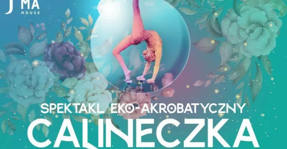 zdjęcie: Spektakl akrobatyczny / kupbilecik24.pl / Spektakl akrobatyczny
