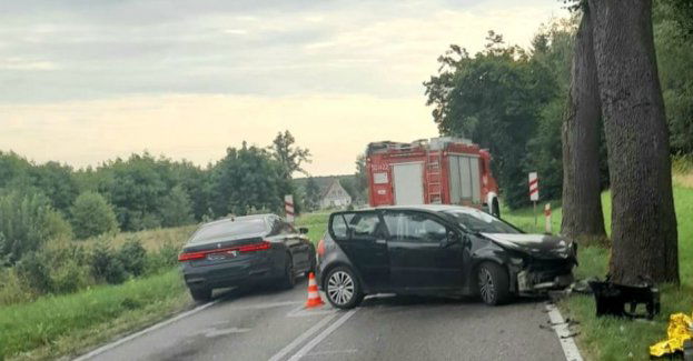 Chcąc uniknąć zderzenia ze zwierzyną leśną, uderzył w drzewo