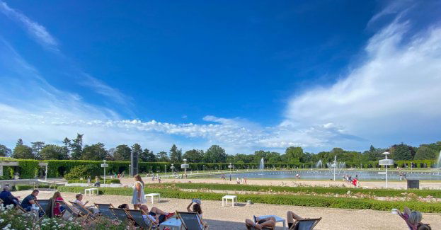 Bezpłatne wydarzenia w ramach Lata na Pergoli także w sierpniu