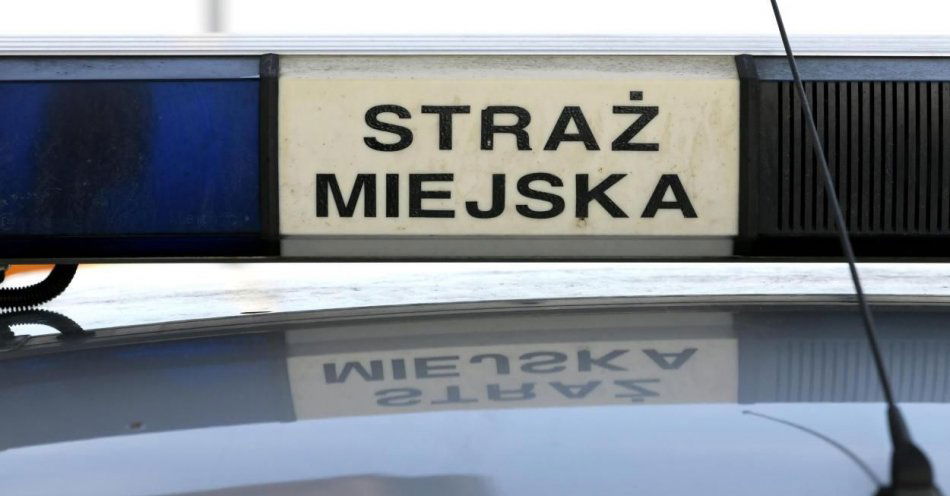 zdjęcie: Pijany i agresywny mężczyzna uszkodził radiowóz straży miejskiej / fot. PAP