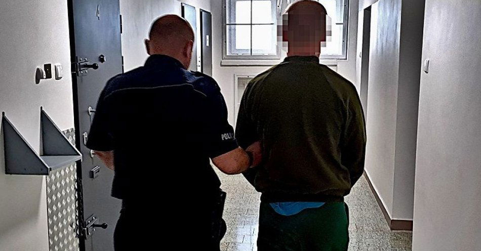 zdjęcie: 3- miesięczny areszt za znęcanie się nad matką / fot. KPP Krasnystaw