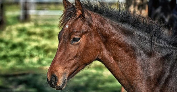 Kolejne odkrycie archeologiczne na budowie metra