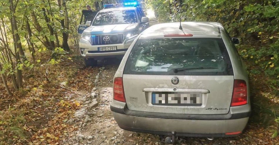 zdjęcie: 3 nietrzeźwych na drogach Jeleniej Góry. Policja apeluje / fot. KMP w Jeleniej Górze