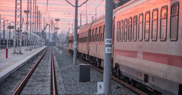 Czeszka zgubiła się na Pradze