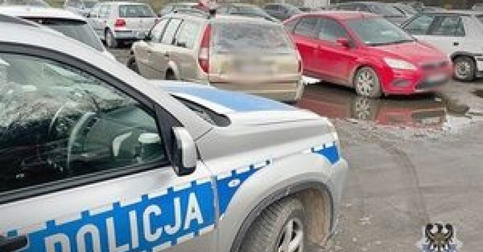 zdjęcie: Miał już trzy aktywne zakazy sądowe, ale przy tym był także poszukiwany i trafi dzisiaj za kraty aresztu / fot. KMP w Wałbrzychu