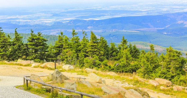 Więcej turystów w Karkonoskim Parku Narodowym