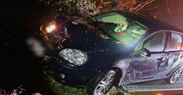 Nietrzeźwy kierowca w Zbąszyniu wylądował na drzewie