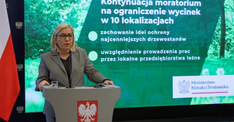 zdjęcie: Leśne moratorium na wycinkę - wydłużone do końca września / fot. PAP