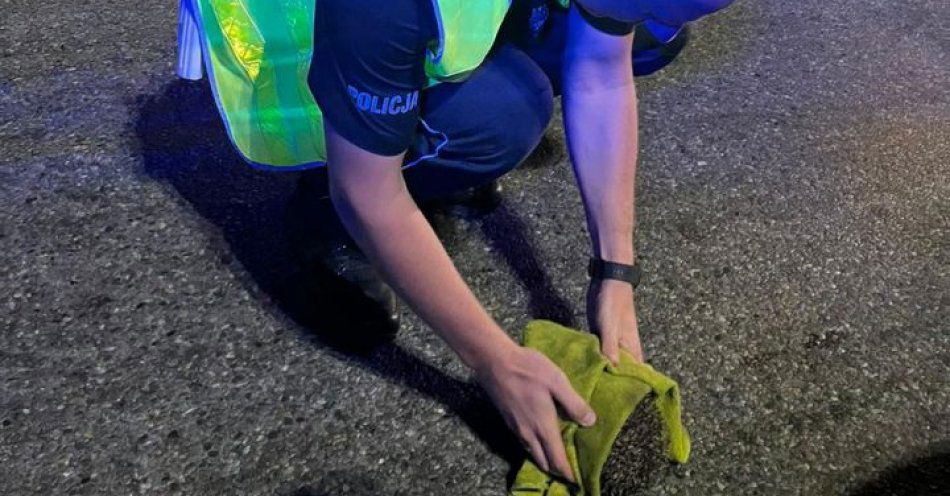 zdjęcie: Nietypowa interwencja – policjanci uratowali małego jeża / fot. KPP w Wejherowie