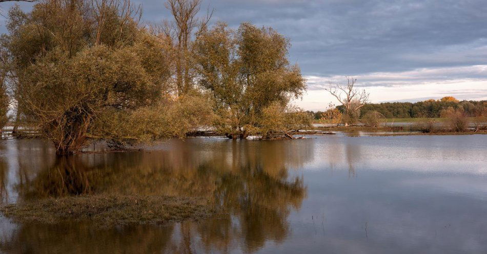 zdjęcie: Intensywne opady deszczu powodem podtopień z Czarnej Wody. Ostrzeżenia hydrologiczne / pixabay/5738150