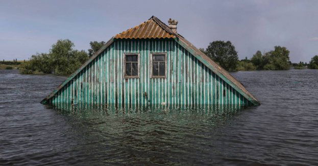 Przewodniczący Episkopatu abp Stanisław Gądecki obchodzi złoty jubileusz kapłaństwa