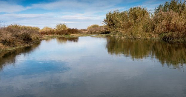 Poszukiwany mężczyzna nie żyje