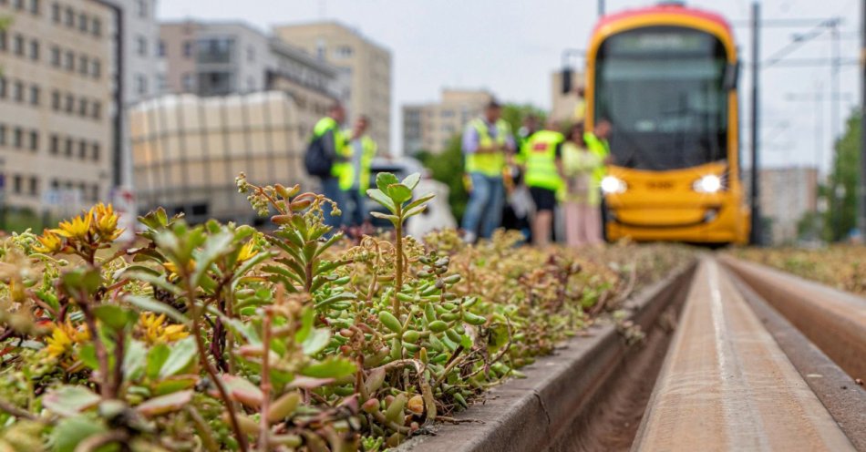 zdjęcie: Coraz więcej zielonych torowisk w Warszawie / fot. nadesłane