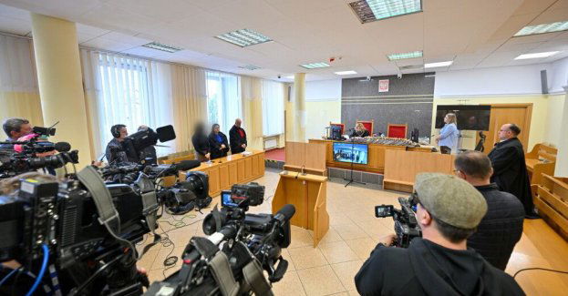 Właściciel schroniska dla zwierząt w Sobolewie skazany na 1,5 roku więzienia