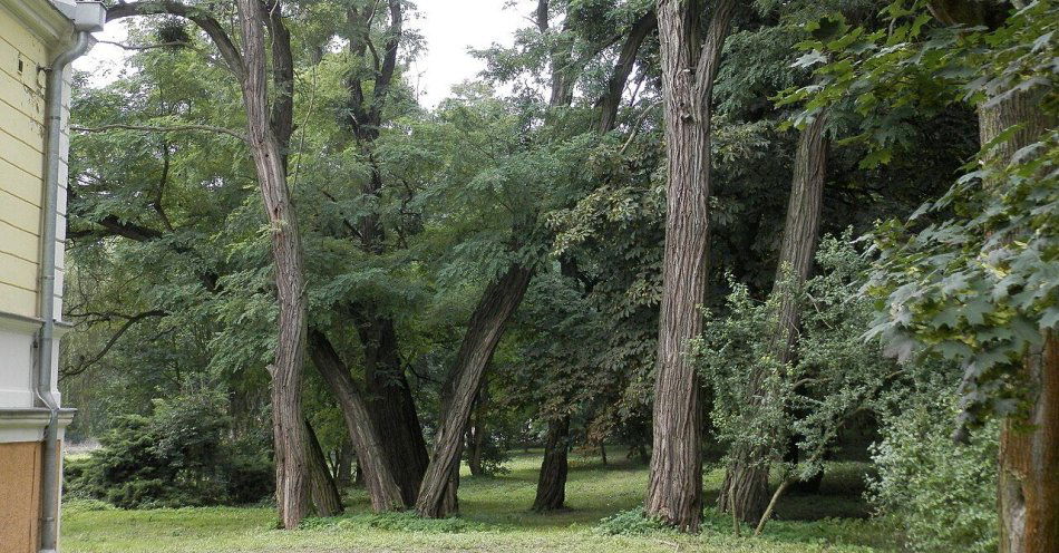 zdjęcie: Majowe Serce Miasta 2026: dwa dni koncertów w Aleksandrowie Kujawskim / Park w Aleksandrowie Kujawskim. Fot. LeszekUminski / Wikimedia Commons, CC BY 3.0