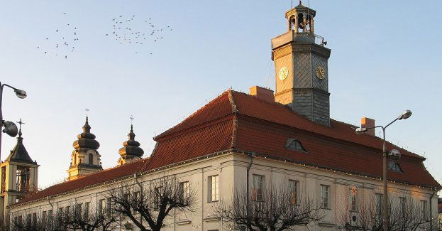 Mazowsze pod mikroskopem: odkryj Mławę