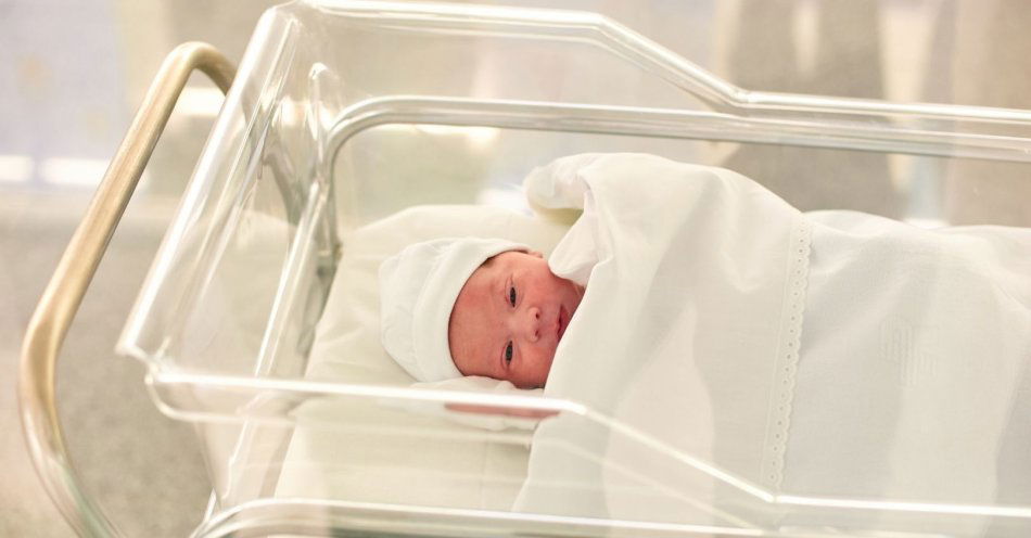 zdjęcie: Dziewczynka miała dużo szczęścia / v59032604