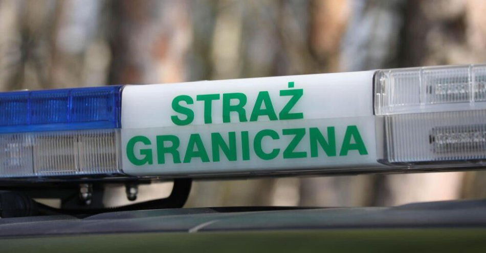 zdjęcie: Co najmniej 228 Białorusinów wjechało do Polski na podstawie wyłudzonych wiz / Ozierany Wielkie, 12.03.2026. Straż Graniczna na granicy polsko-białoruskiej w miejscowości Ozierany Wielkie, 12 bm. (ar/awol) PAP/Artur Reszko