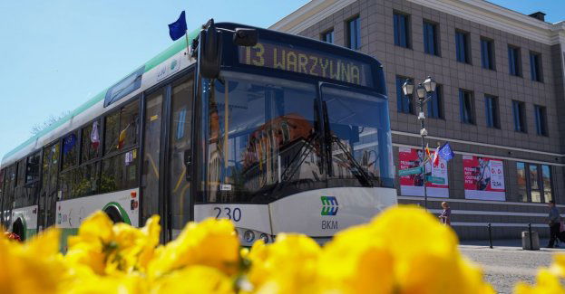 Wakacyjne rozkłady jazdy autobusów