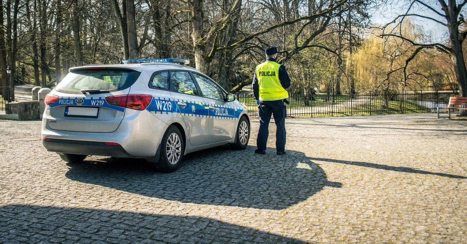 zdjęcie: Potrzebował podwózki, powiedział policjantom, że jego brat chce popełnić samobójstwo / pixabay/5022655