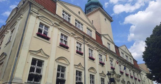 Obowiązek meldunkowy i informacje w sprawie wyborów