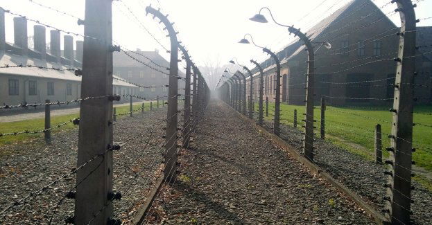 Szczątki ponad 276 osób odnaleziono na terenie b. obozu jenieckiego Stalag II D (wideo)
