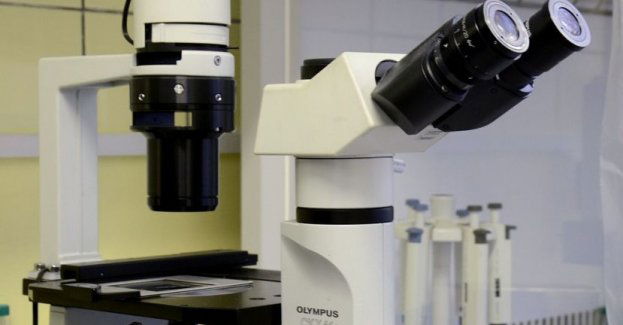 Ponad 120 osób zatruło się salmonellą w ośrodku wczasowym w Pogorzelicy