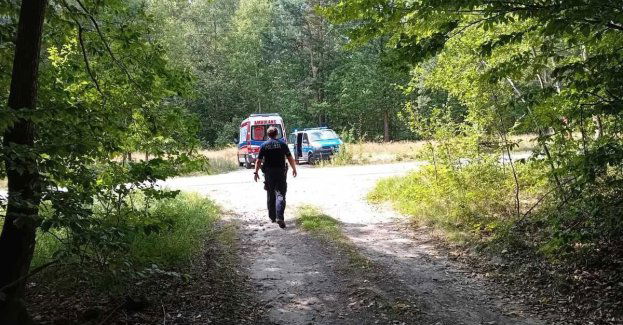 Grzybobranie zakończone w bagnie