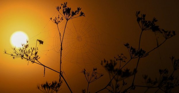 Kolejna noc tropikalna w Polsce, na południowym zachodzie groźne burze