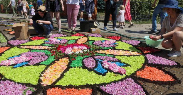 Spycimierska tradycja - kwietne dywany na procesję Bożego Ciała