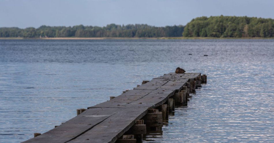 zdjęcie: Mężczyzna utonął się w jeziorze koło Krosna Odrzańskiego / v15567911