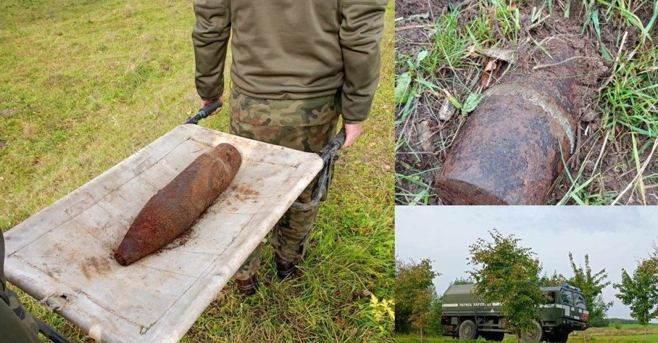 zdjęcie: Krowa na pastwisku wygrzebała niebezpieczne znalezisko. Rolnik powiadomił Policję / fot. KMP w Elblągu