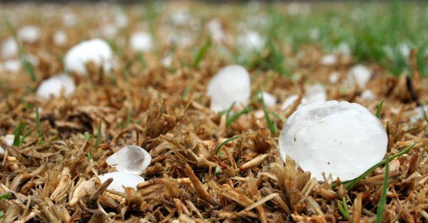 Mieszkańcy Gniezna mogą liczyć na wsparcie w walce ze skutkami nawałnicy