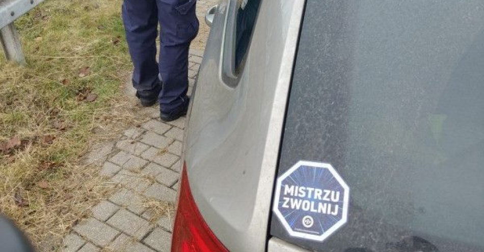 zdjęcie: Akcja Bezpieczny Pieszy w Gdyni podsumowana / fot. KMP w Gdyni