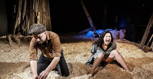 Pięć i pół człowieka w Lalkach