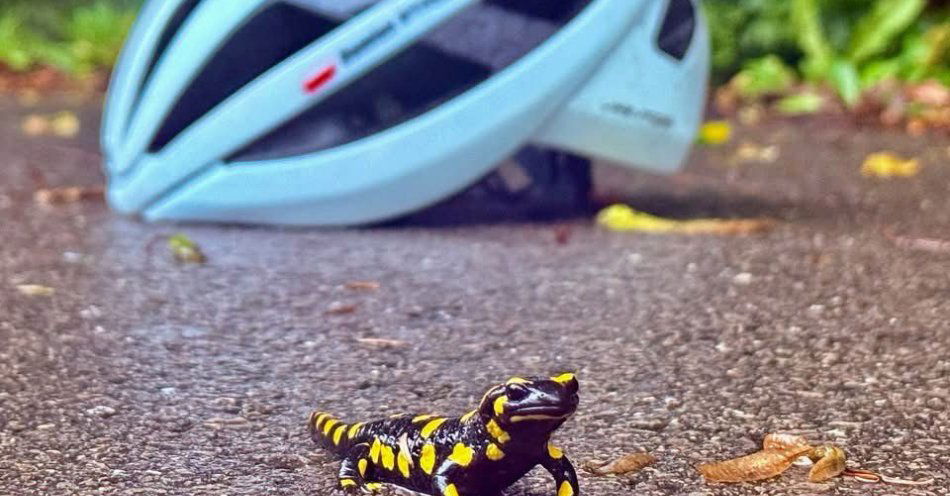 zdjęcie: Mławski policjant z nagrodą w ogólnopolskim konkursie fotograficznym / fot. KPP w Mławie