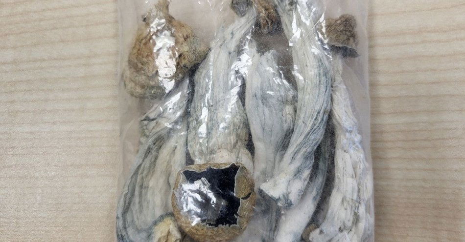 zdjęcie: Młody mężczyzna aresztowany po zabezpieczeniu 400 g narkotyków / fot. KPP w Rypinie