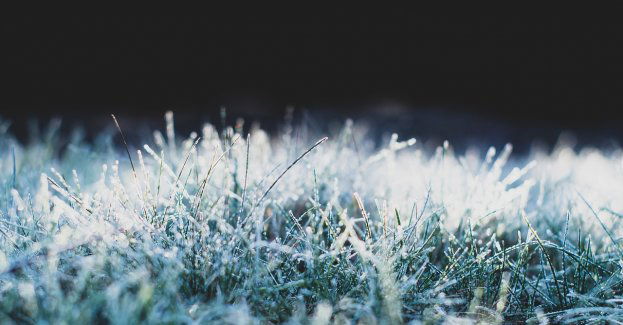 IMGW ostrzega przed przymrozkami i intensywnymi opadami deszczu