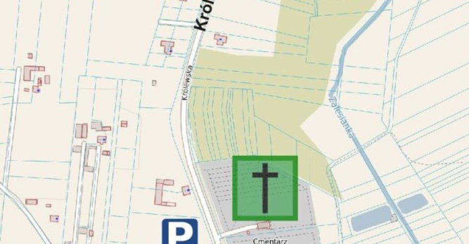 zdjęcie: Wszystkich Świętych w powiecie ryckim. Zmiany w organizacji ruchu / fot. KPP Ryki